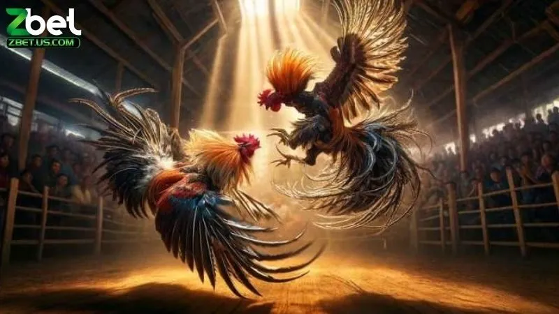 Sử Dụng Chiến Lược Cá Cược